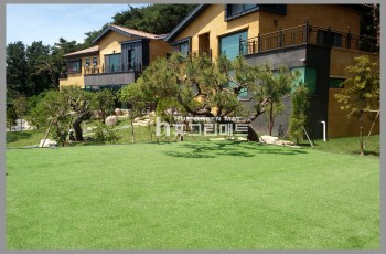 HG20|35더블인조잔디(초고밀도)국산
